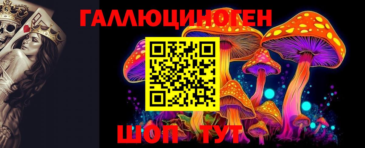 Гусев  Галлюциногенные грибы ЛСД  Вход с VPN 