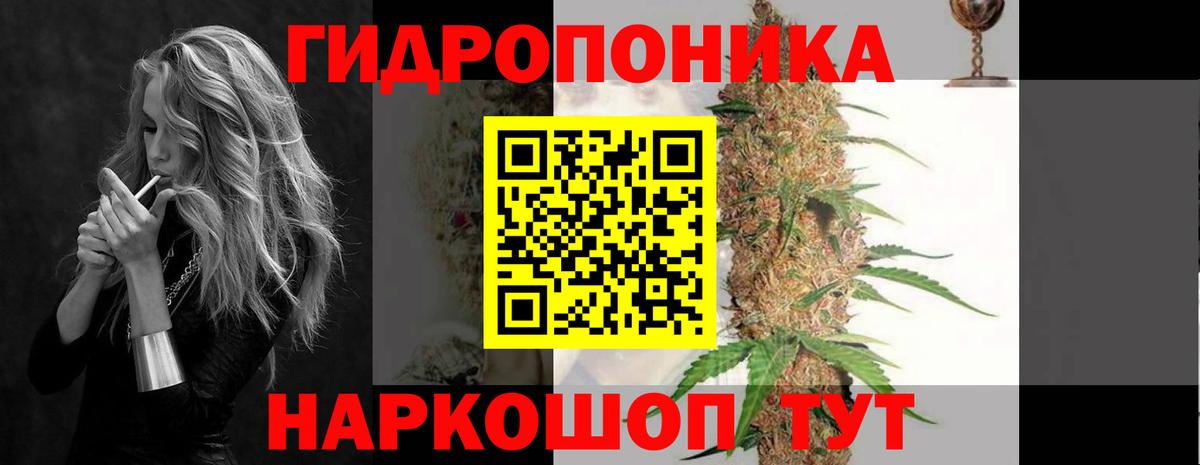Гусев  Конопля AK-47  Вход с VPN  Канабис LSD WEED  Бошки марихуана планчик 
